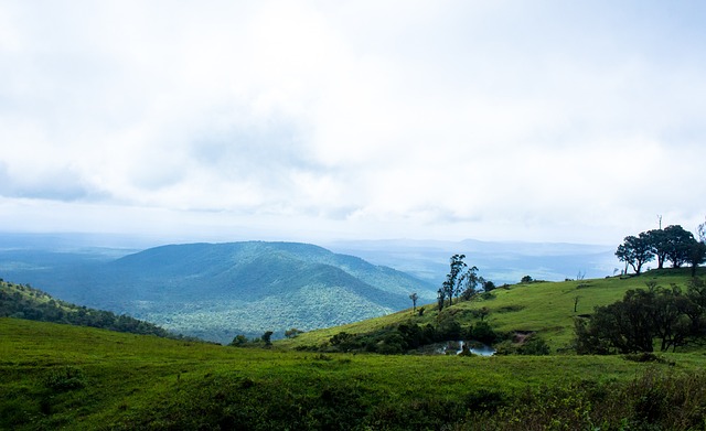 上海主帅战术布置引赞赏