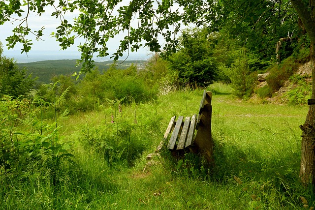 国足踢出赛季最佳半场？
